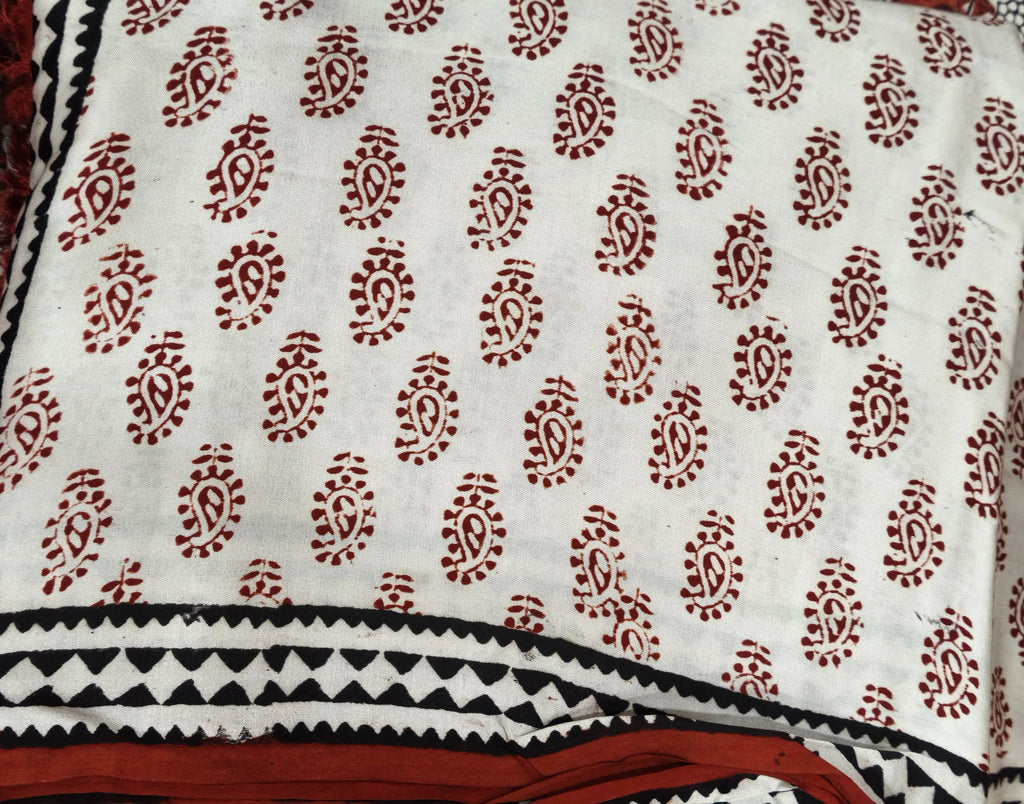 Raagrekha – Hand Block Printed Modal Silk Saree (Bigger Carry)
