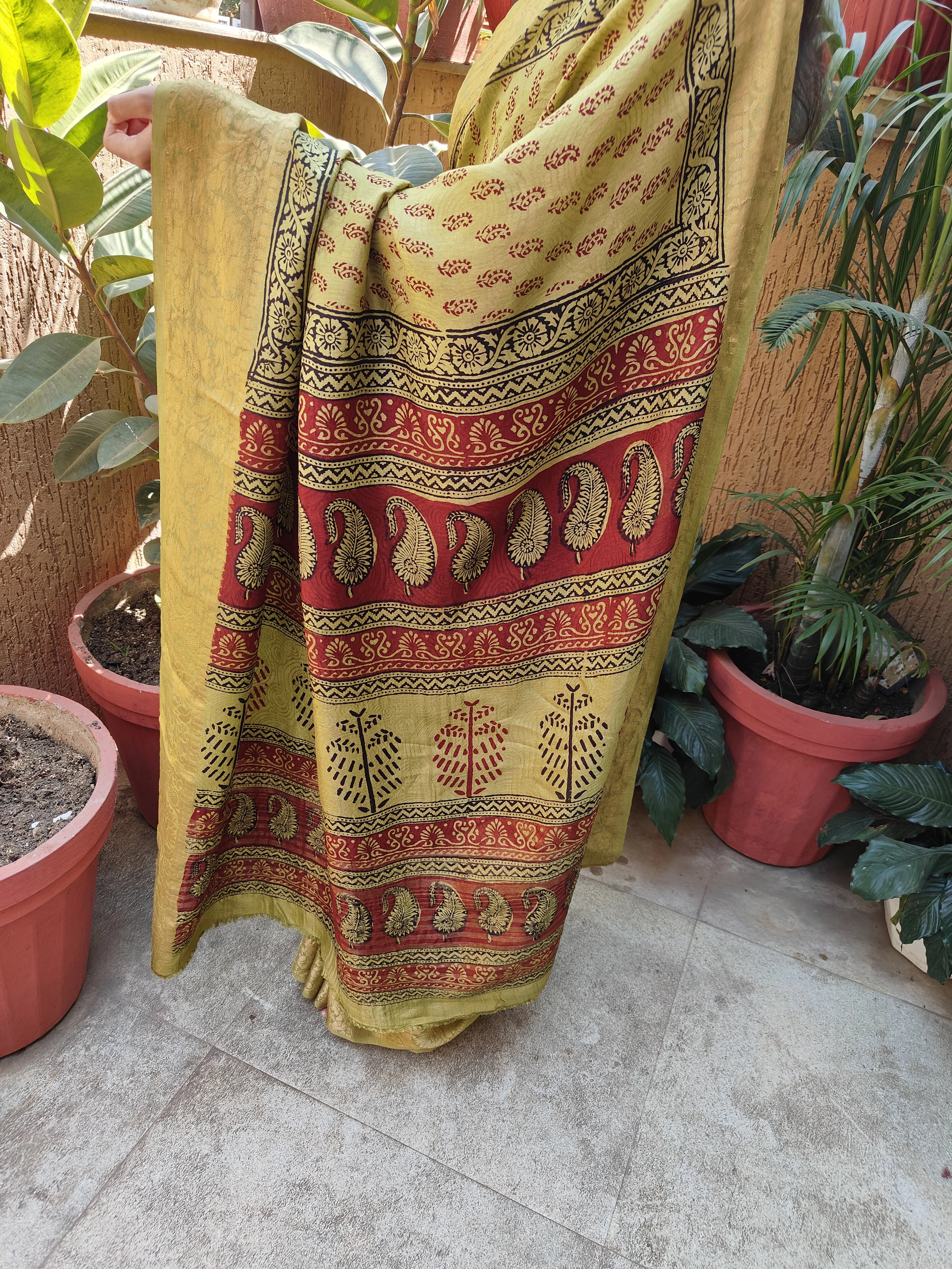 Bagh Print Dola Silk Saree (Mehndi Green)