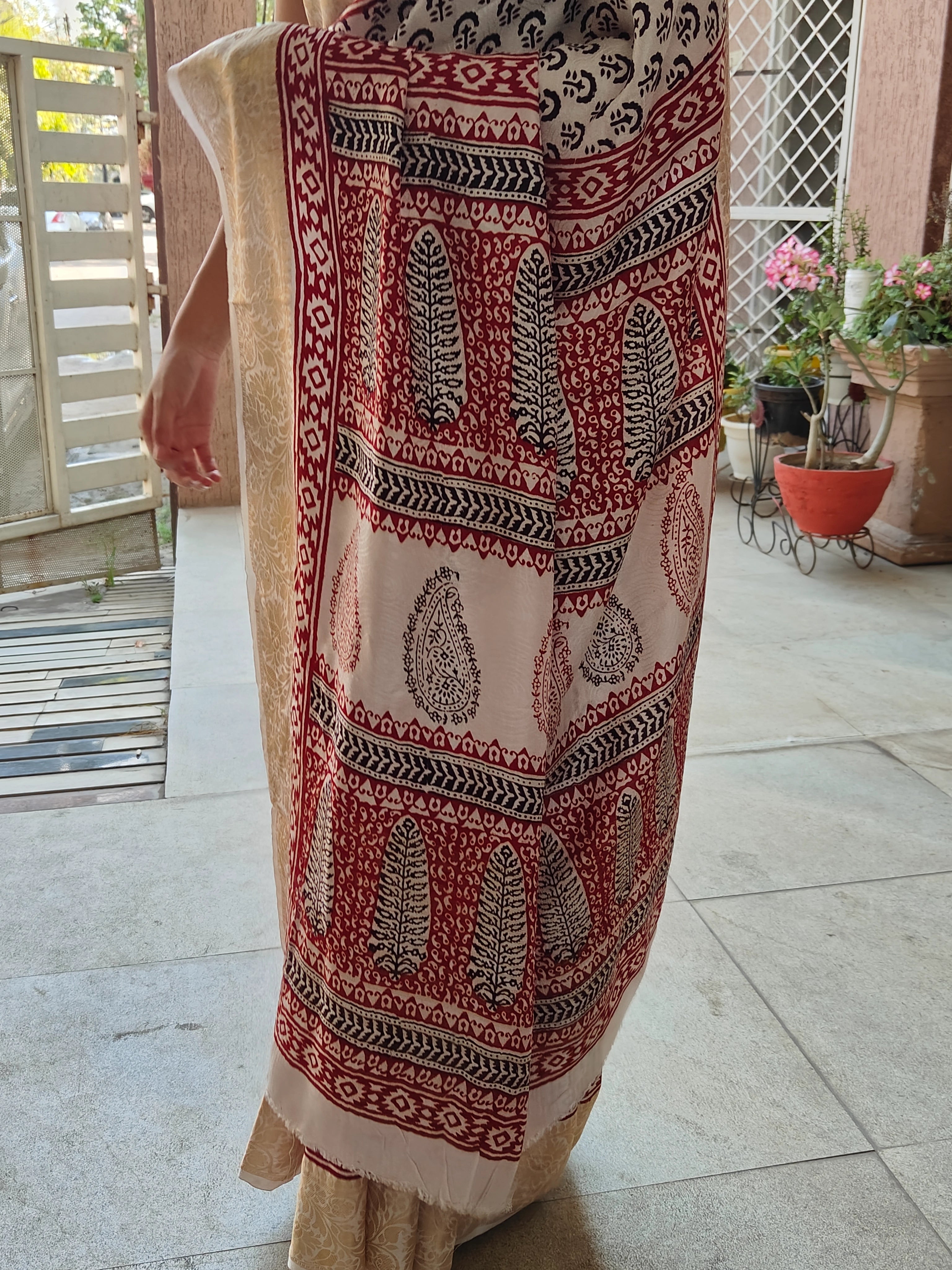 Bagh Print Dola Silk Saree (White)